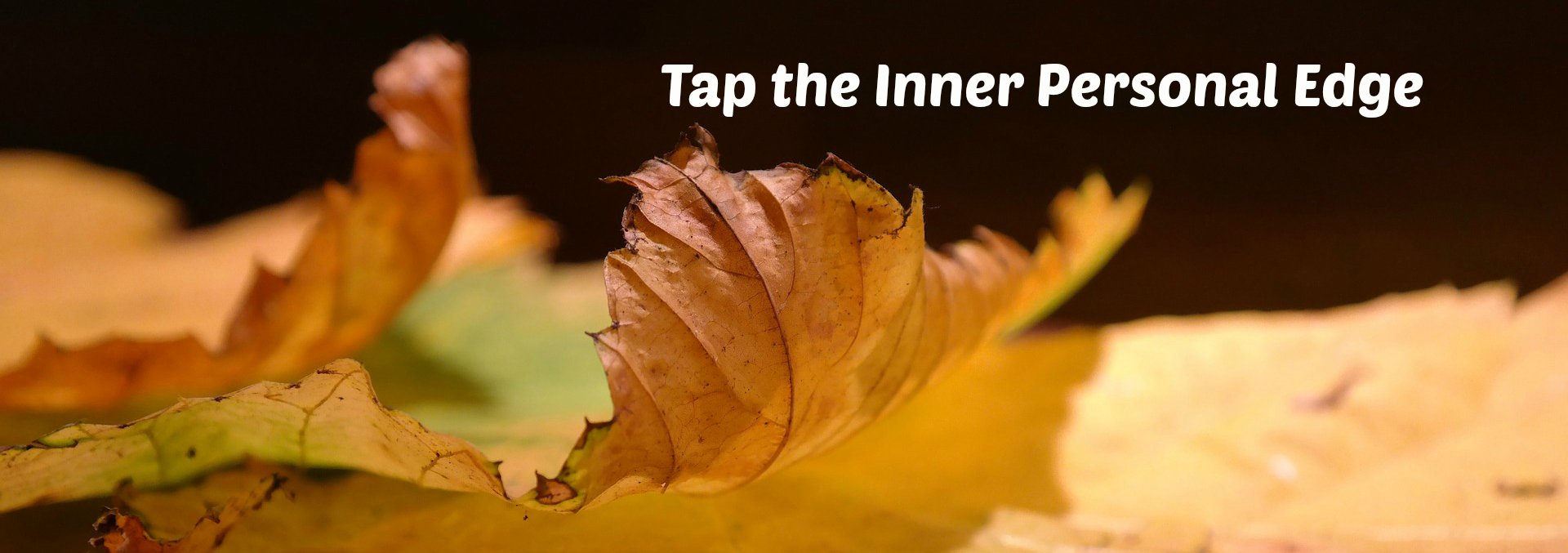 Edge of fall tree leaf, illustrating the theme, "Tap the Inner Personal Edge."